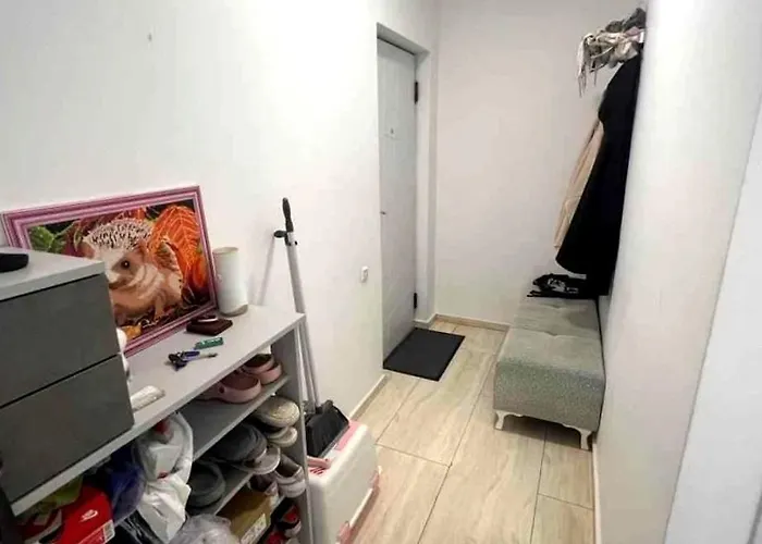 Sun On Vojnovica Street